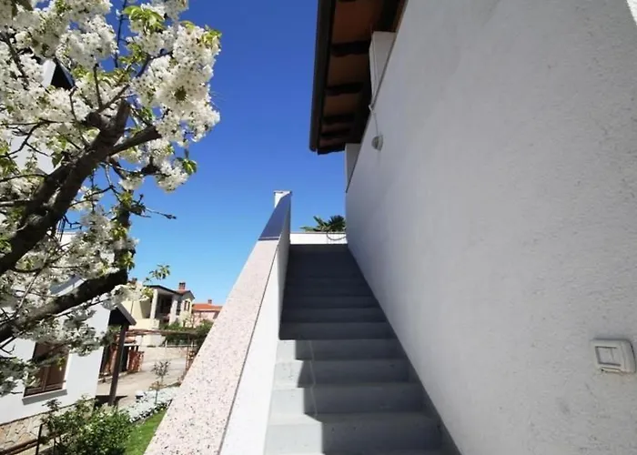 Lejlighed Rose Mit Balkon By Interhome